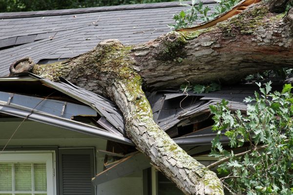 Storm Remediation in New Berlin