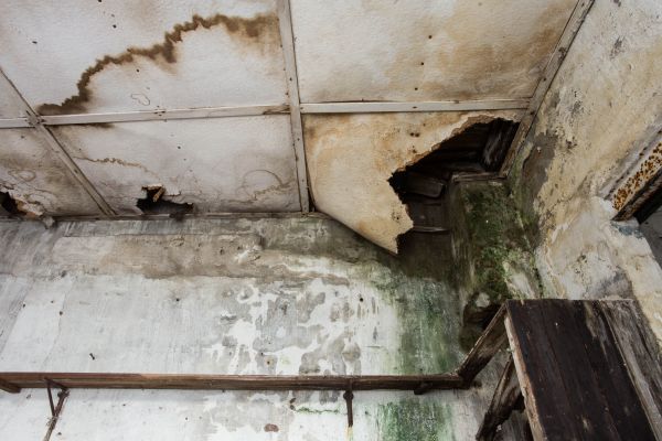 Water Damage Service in New Berlin