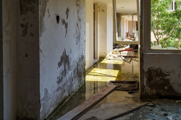 Water Removal Service in New Berlin