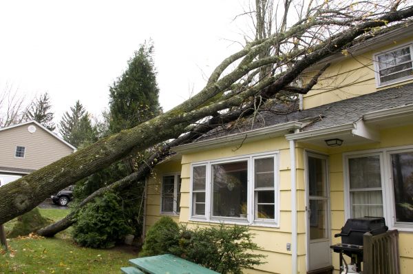 Hurricane Damage Repair in New Berlin